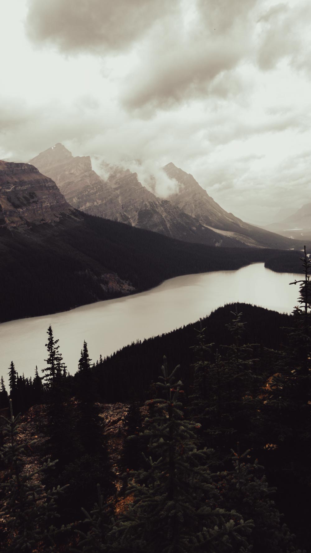 Du Lac Louise au Lac Peyto